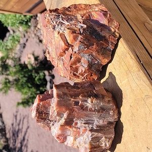 2pieces chunk of 4lbs 8.4oz Az rainbow petrified wood